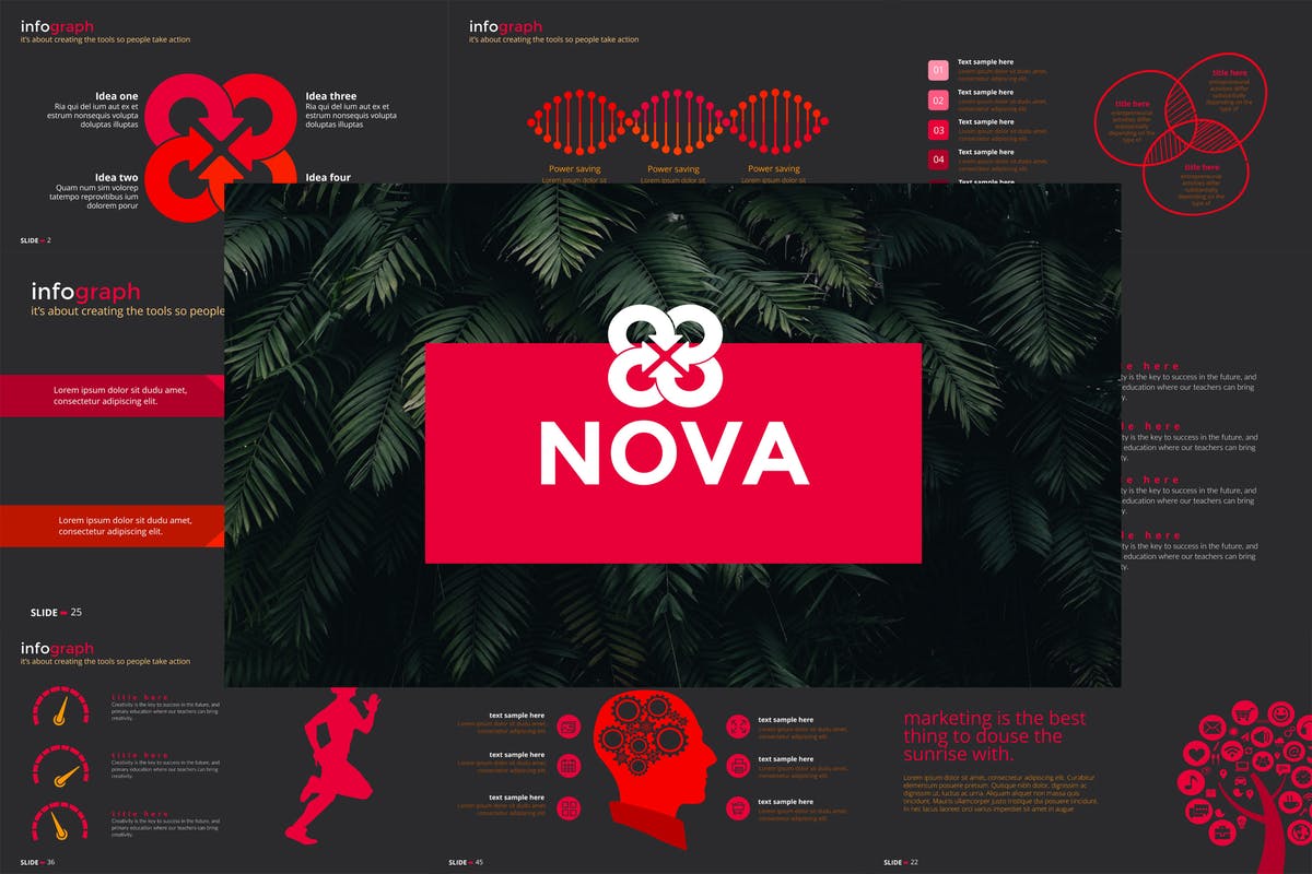 创意信息图表多图表PPT幻灯片设计模板 NOVA Powerpoint Template插图