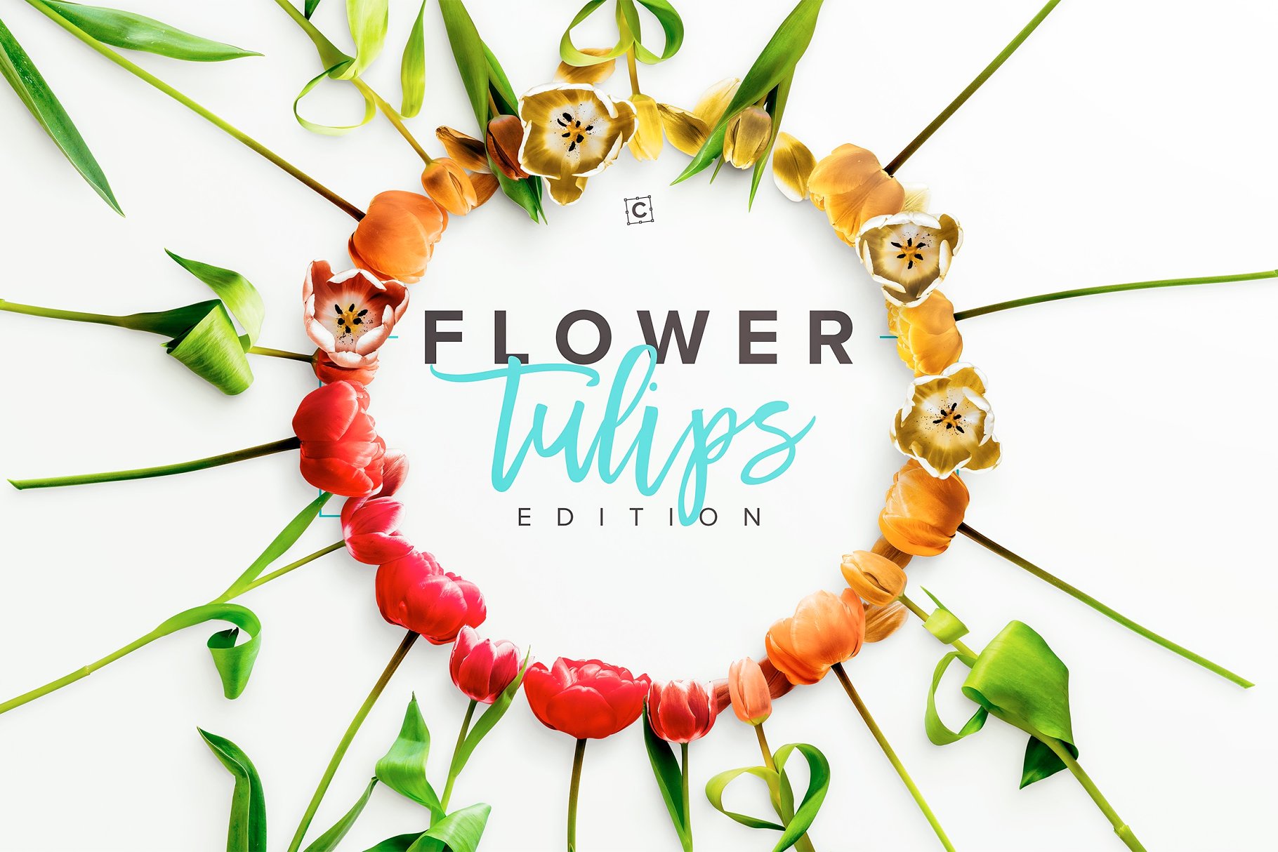 郁金香花卉场景样机 Flower Tulips Edition – Custom Scene[1.18GB]插图(4)