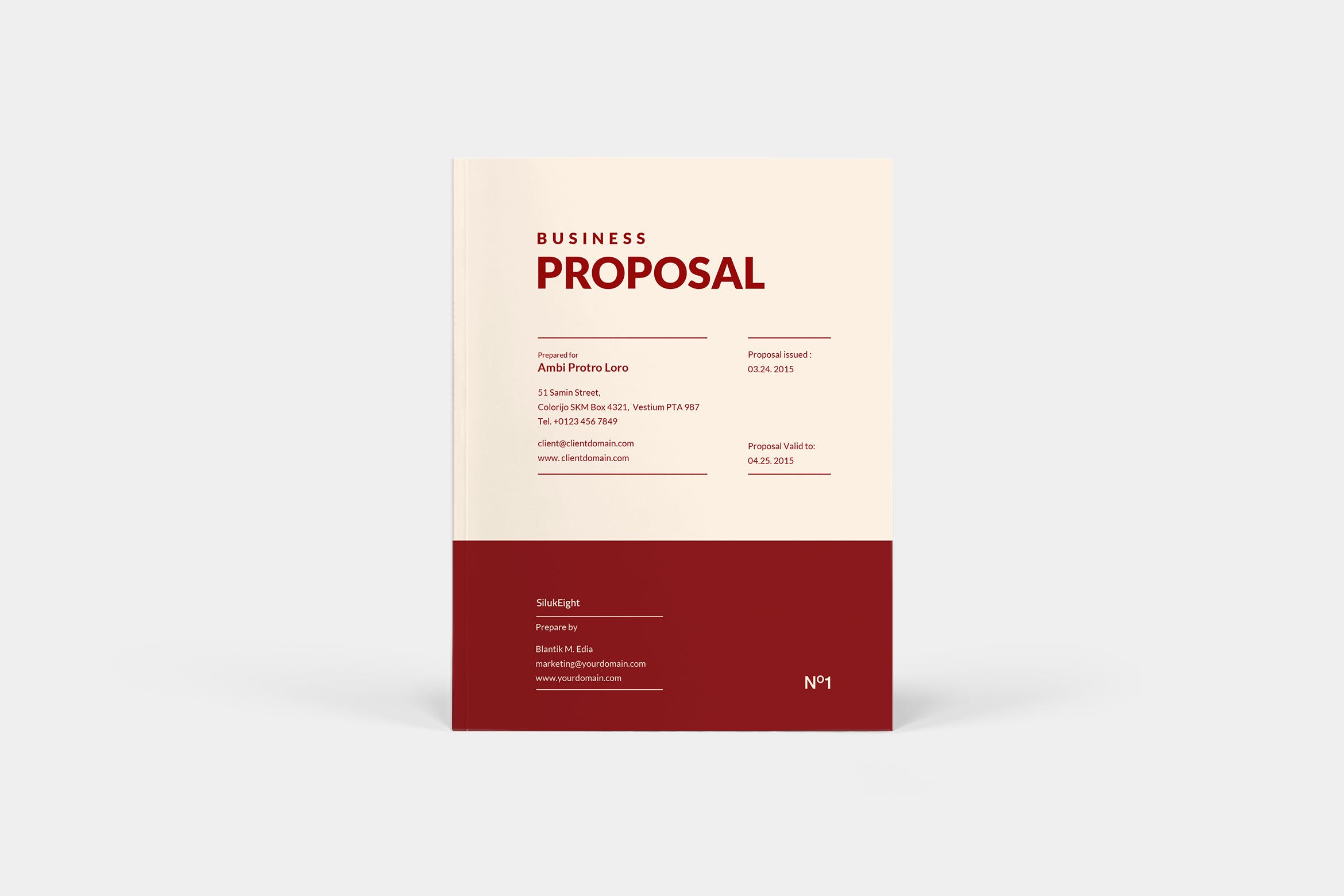 商业计划书/投标标书设计模板 Business Proposal插图