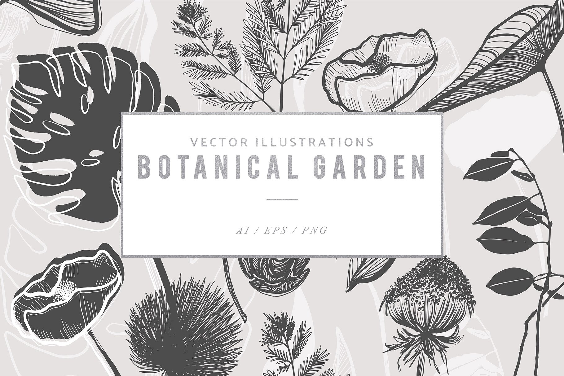 手绘有机植物矢量插图集 Botanical Garden Vector Graphics插图