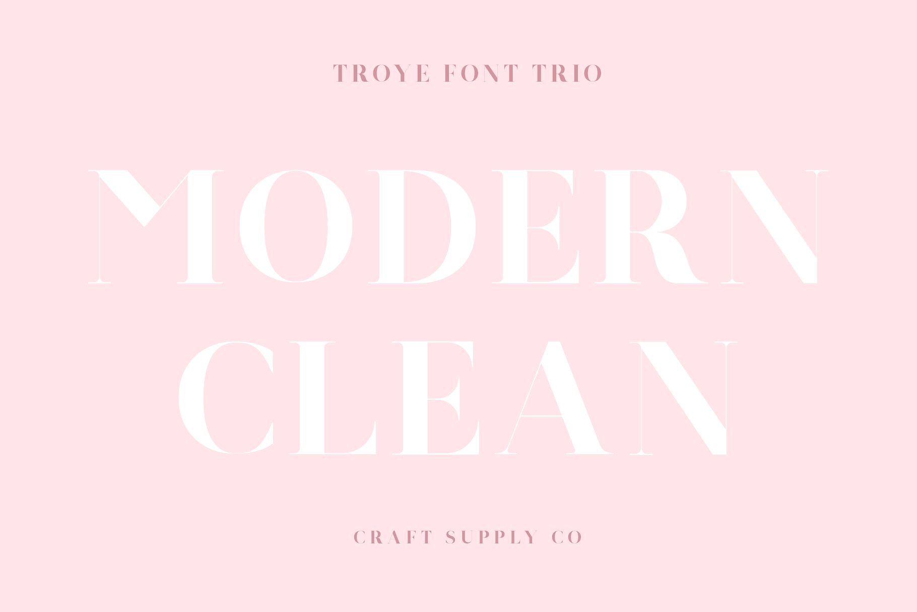 干净&奢华的特洛伊字体三重奏 Troye Font Trio [jpg,otf,ttf]插图(17)