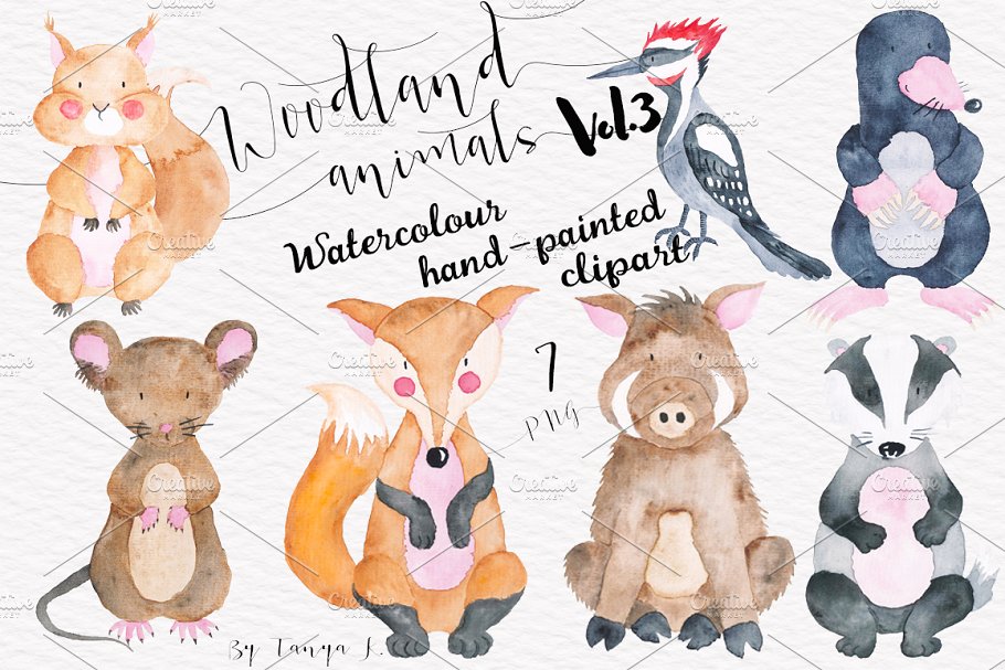 手绘水彩林地动物设计插画素材 Woodland animals Vol.3 Set插图