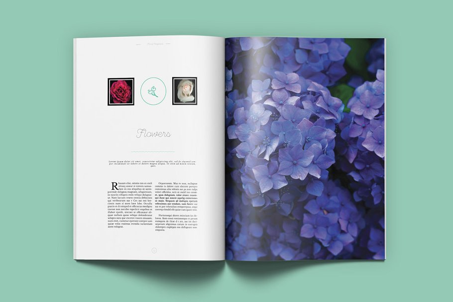 极简主义盆栽景观通用杂志模板 Floral Magazine插图(6)