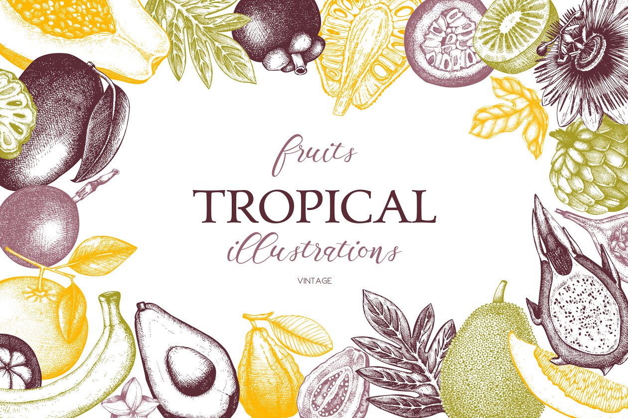 热带亚热带水果矢量图形套装 Vector Exotic Fruits & Plans Set插图