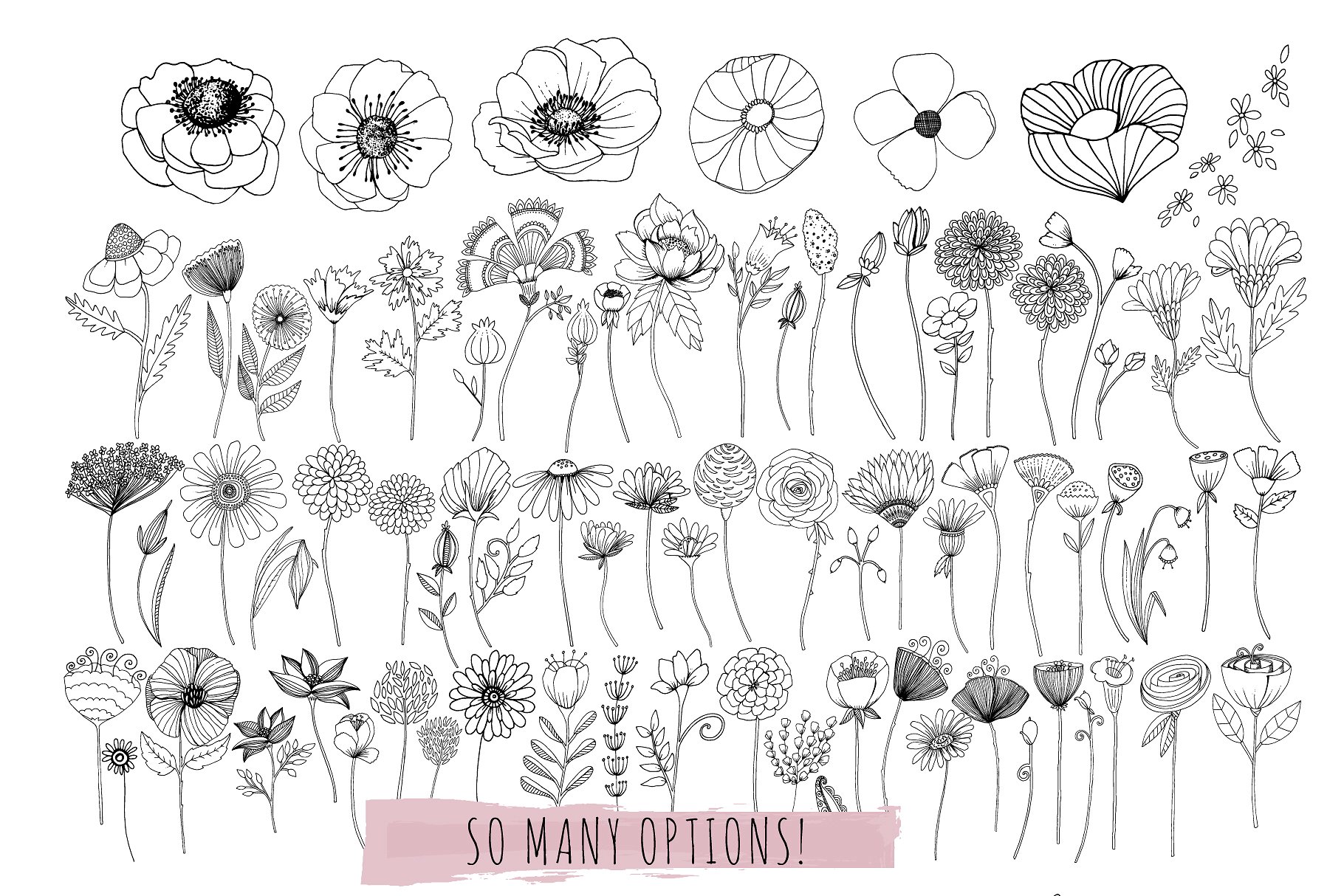 花卉艺术线条及花环素材 Flower Line Art & Floral Wreaths插图(4)