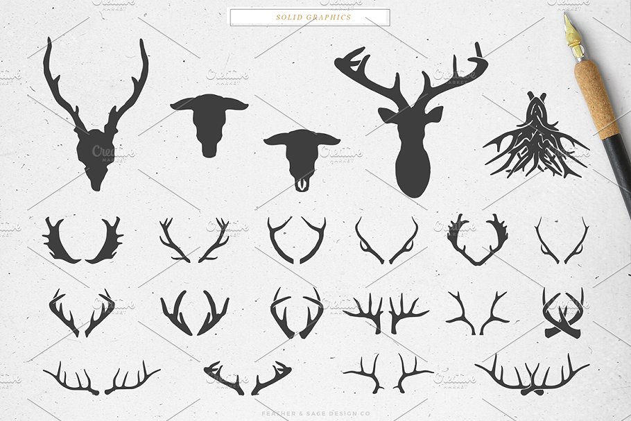 鹿角＆公牛手绘矢量插图 Antlers & a Bull Vector Graphics插图(1)