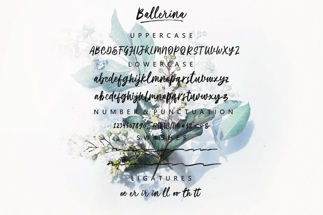 现代优雅书写风格英文手写字体 Ballerina | Script Font MS插图(7)