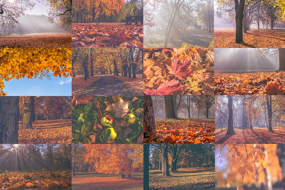 秋天主题高清照片素材 Autumn Photo Pack插图(5)