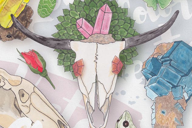 生物系列水彩手绘插画合集Vol.1 Watercolor Creatures vol. 1插图(5)