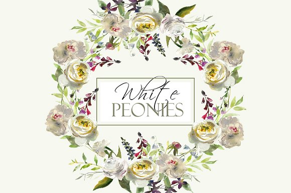 白色水彩花卉剪贴画 Watercolor White Flowers Clipart插图(3)
