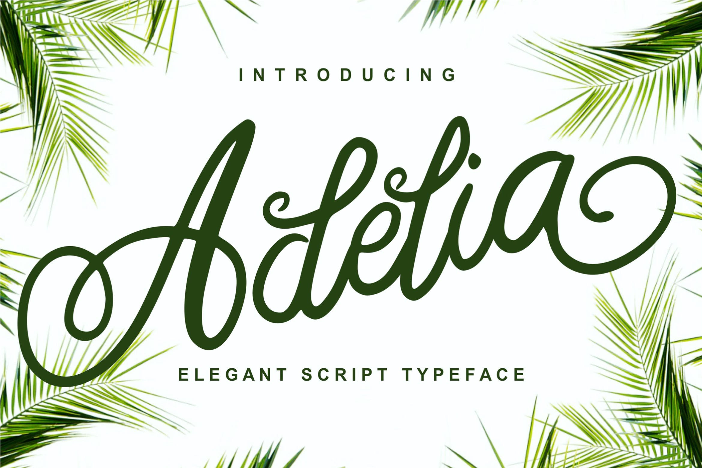 优雅笔画线条英文草书字体下载 Adelia – Elegant Script Typeface插图