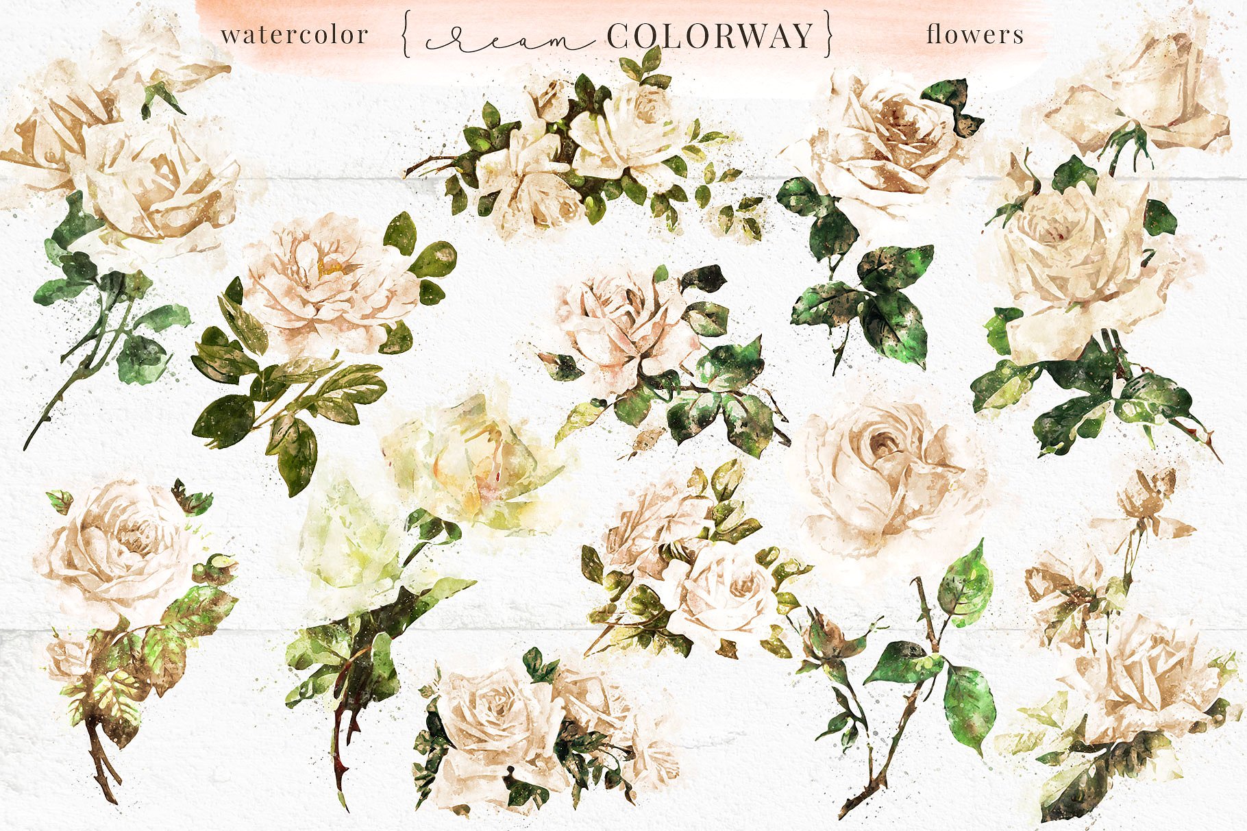 古典风格玫瑰/树叶/装饰字母/花环和花束剪贴画合集 Farmhouse Watercolor Flowers插图(9)