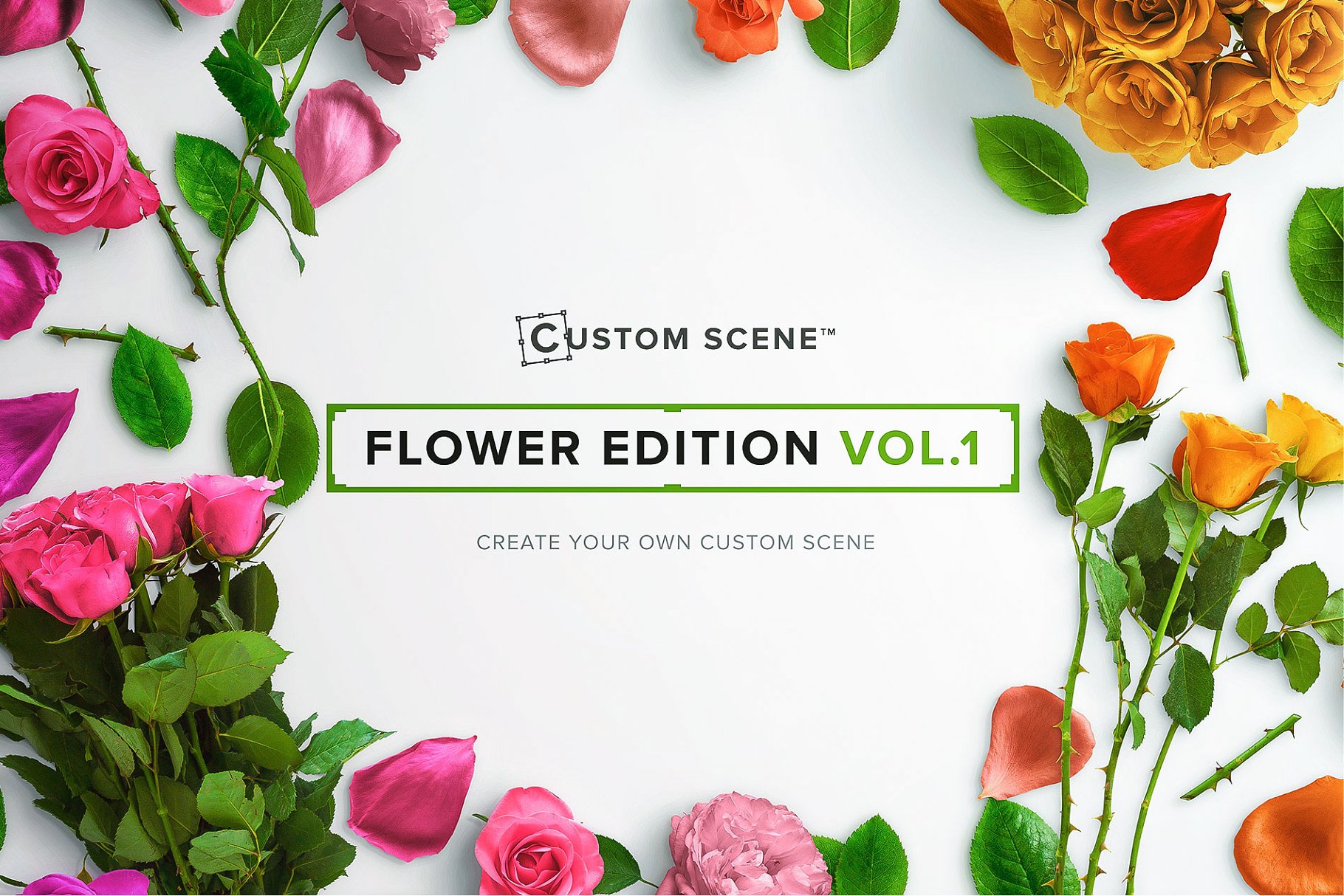 真实玫瑰花语场景设计素材包 Floral Roses Collection – CS插图