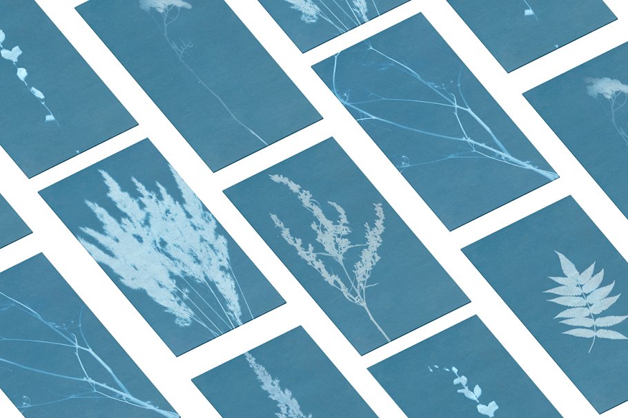 氰版风格花卉背景素材 FLORAL Cyanotype backgrounds插图(3)