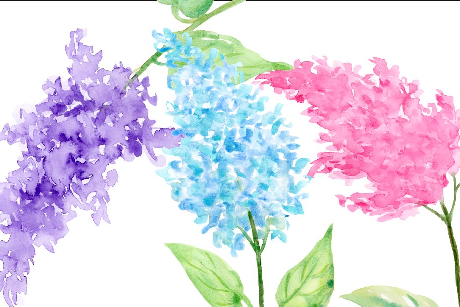 水彩丁香花剪贴画素材 Watercolor Lilac Flowers插图(2)