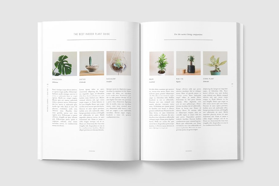 盆栽植物主题杂志模板 NATURALIS Lookbook / Magazine插图(3)