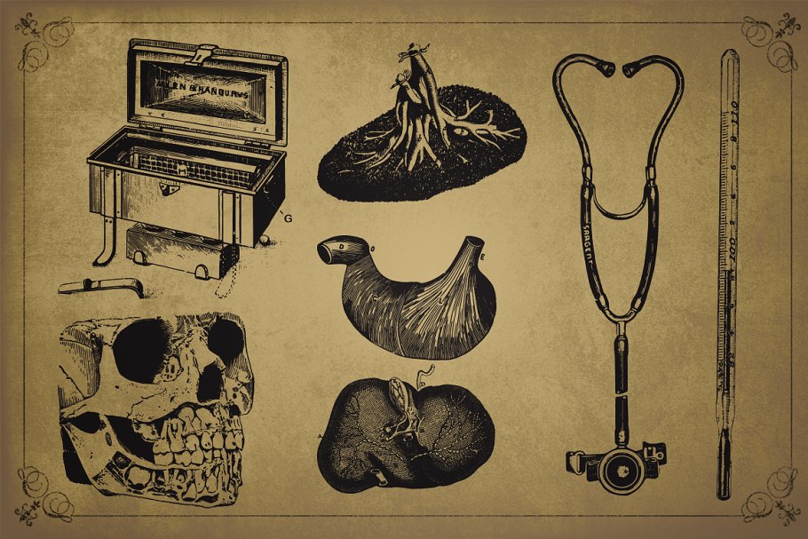 旧时代解剖医学插图素材 Medical Art | 110 EPS, PNG and JPG’s插图(10)