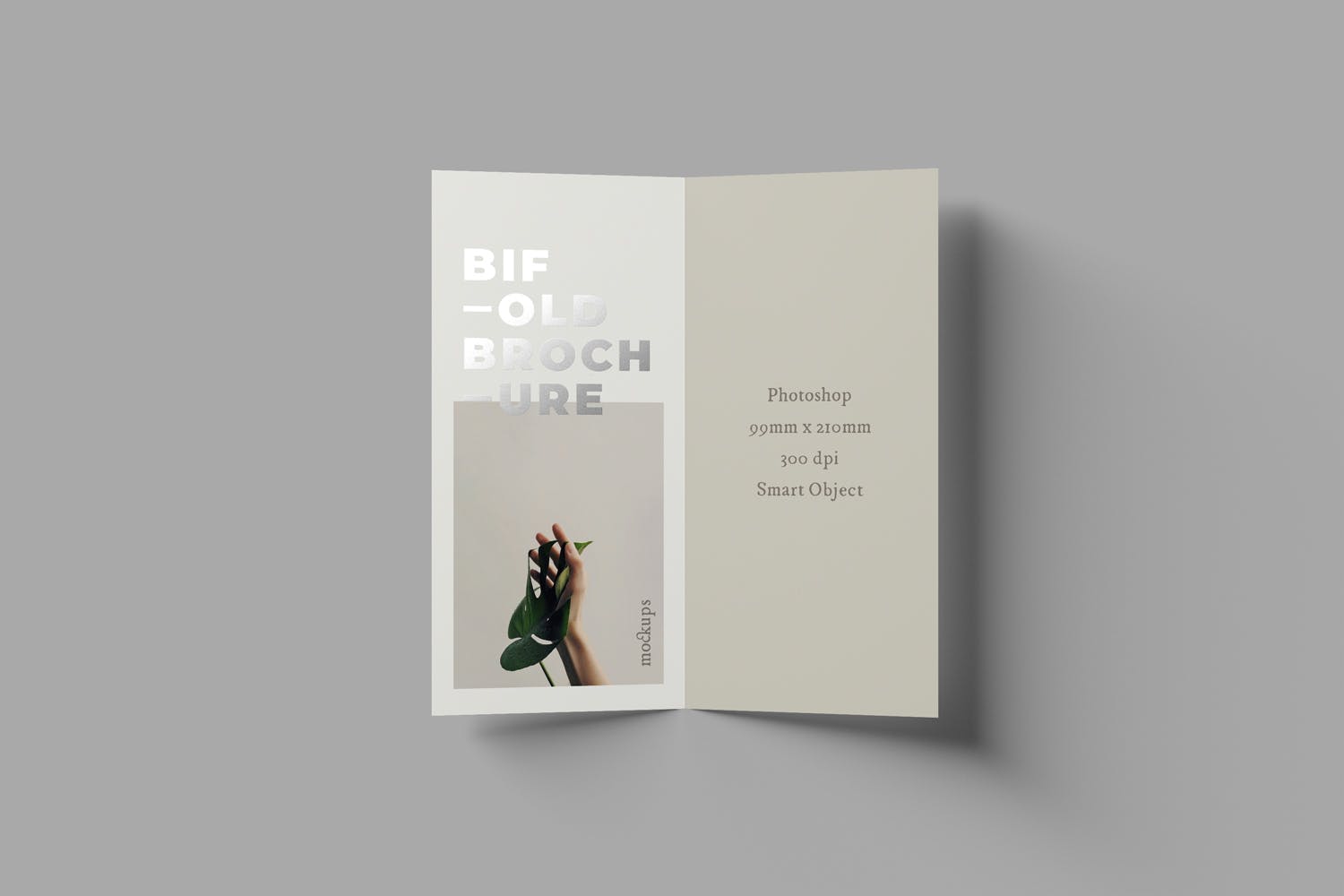 优雅设计风格折页宣传册设计图样机模板 Bifold DL Brochure Mockups插图(1)