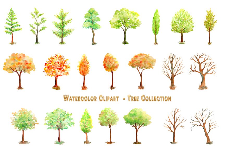 手绘水彩冬季树木系列插画素材 Watercolor Tree Illustration插图