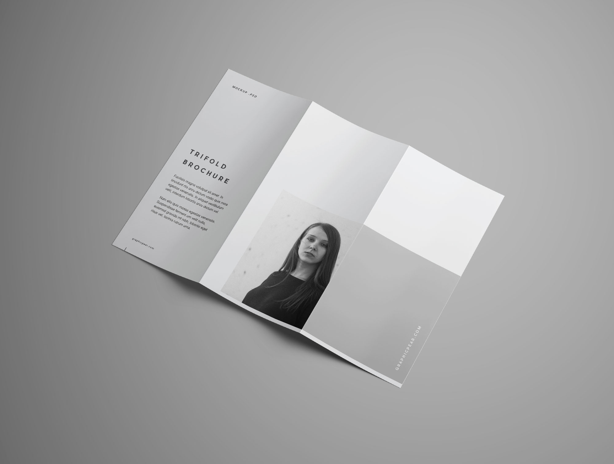 多角度三折页宣传单设计效果图样机 Free Advanced Trifold Brochure Mockup – 7 Angles插图(2)