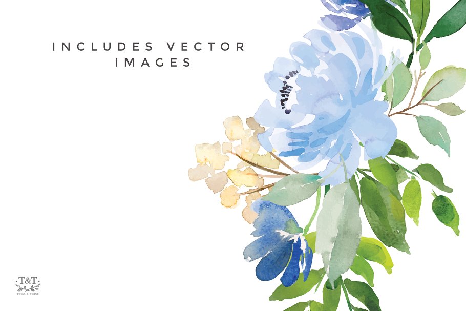 美丽的混合花卉水彩剪贴画合集[1.01GB] Watercolor Flower Graphics – Serene插图(5)
