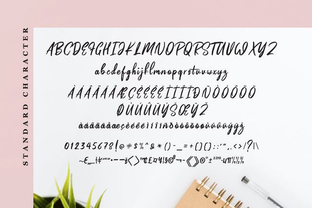 充满爱意独特设计英文手写字体 Pinkalova – Handwritting Script Font插图(4)