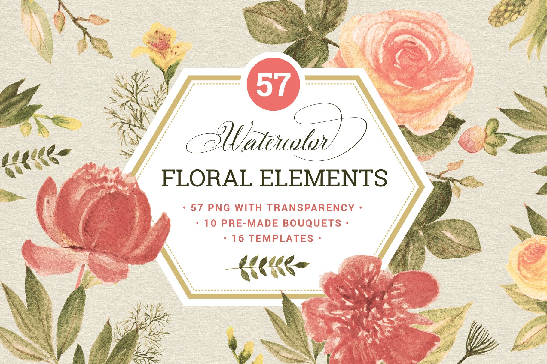 57款花卉插画元素 57 Floral elements & extrass插图