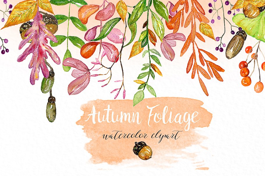 秋天树叶水彩插画 Autumn foliage. Watercolor images.插图