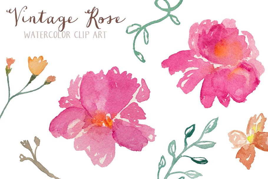复古风格水彩玫瑰花剪贴画艺术 Vintage Rose Watercolor Clip Art插图