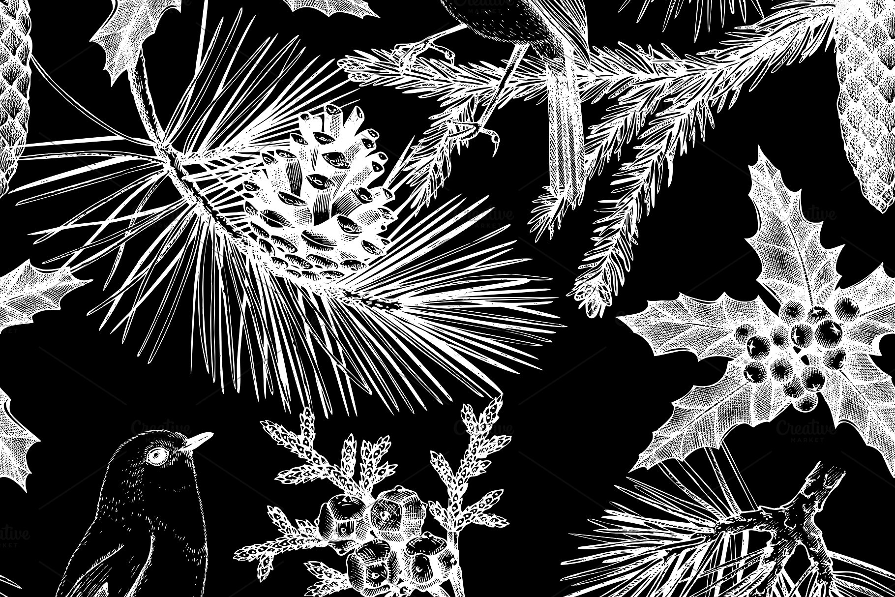 手绘黑白风针叶树木插画 Conifers Trees Set in Black插图(5)