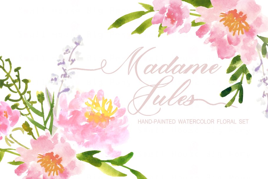 水彩艺术花卉元素插画 Madame Jules- Watercolor Clip Art插图(3)