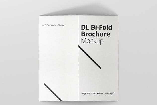 对折折页宣传小册样机 DL Bi-Fold Brochure Mock-Up插图(8)
