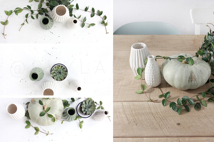 绿色盆栽植物纹理 Mint pumpkin, Styled stock photos插图(1)