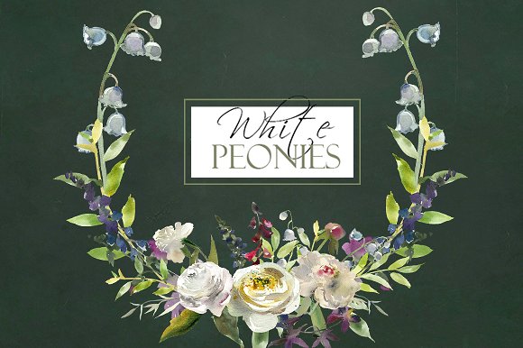 白色水彩花卉剪贴画 Watercolor White Flowers Clipart插图(8)