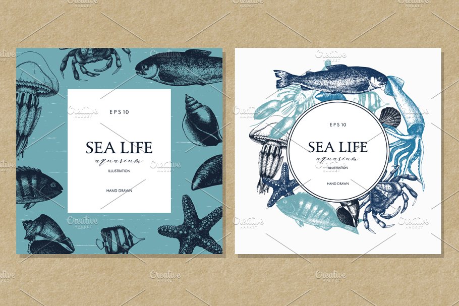 海洋生活矢量图形素材 Vector Sea Life Illustrations Set插图(2)