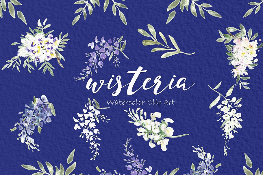 紫藤婚礼婚庆水彩画素材 Wisteria wedding watercolors插图(4)