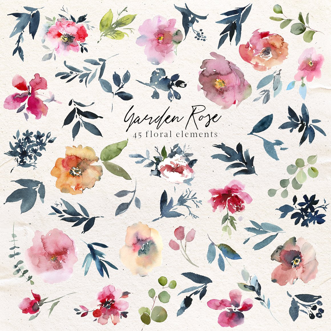 花园玫瑰水彩花卉套装 Garden Rose Watercolor Floral Kit插图(11)