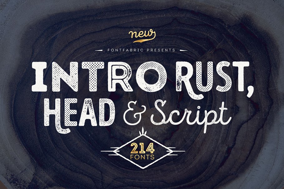 200+款创意英文字体大礼包[价值279刀] Intro Rust – pack of 214 fonts插图