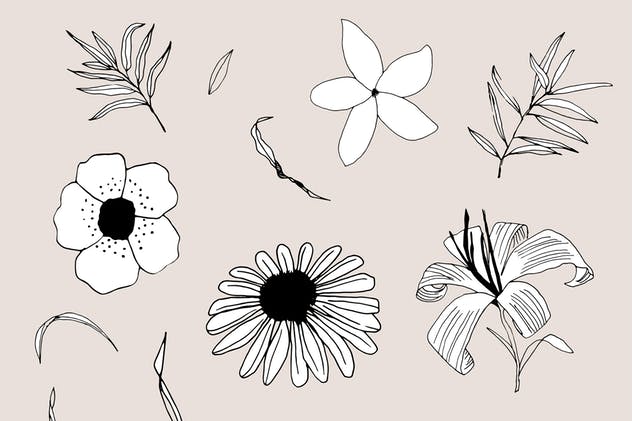 创意手绘花卉插画图案纹理素材 Graphic Flowers Patterns & Elements插图(12)