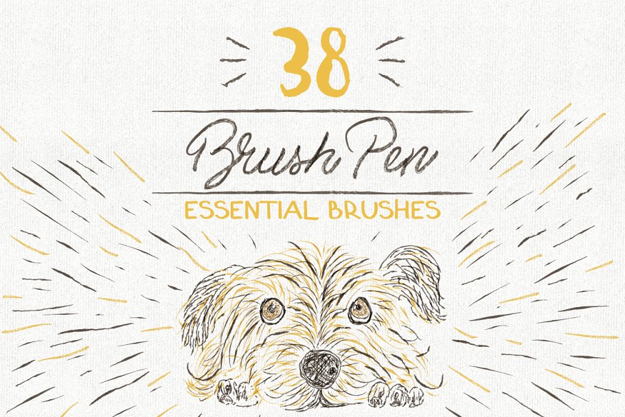 各种类型笔画AI笔刷大杂烩[水彩笔/刷笔/铅笔/木炭笔/记号笔] Essential Vector Brushes Collection插图(4)