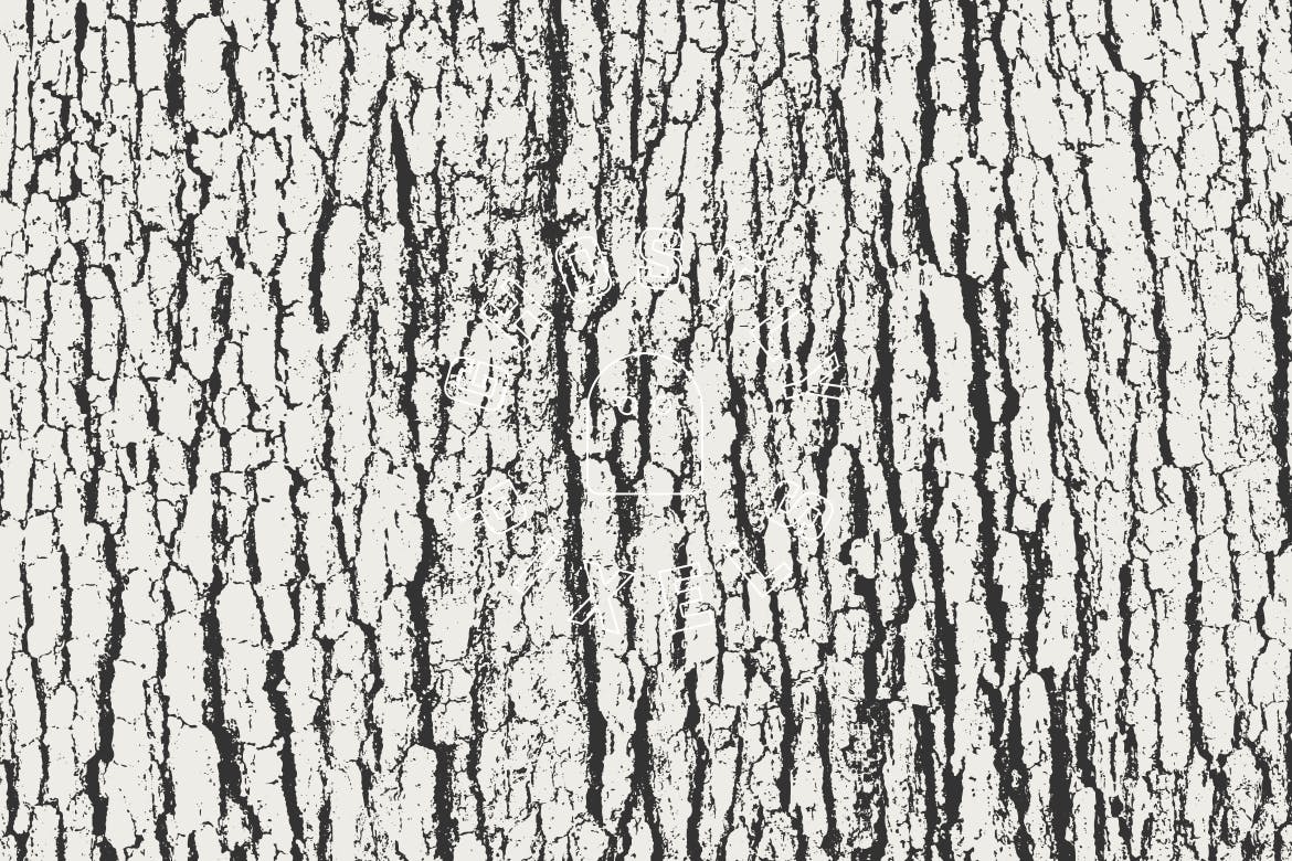 5款逼真树皮纹理肌理矢量背景素材 Tree Bark Textures插图(3)