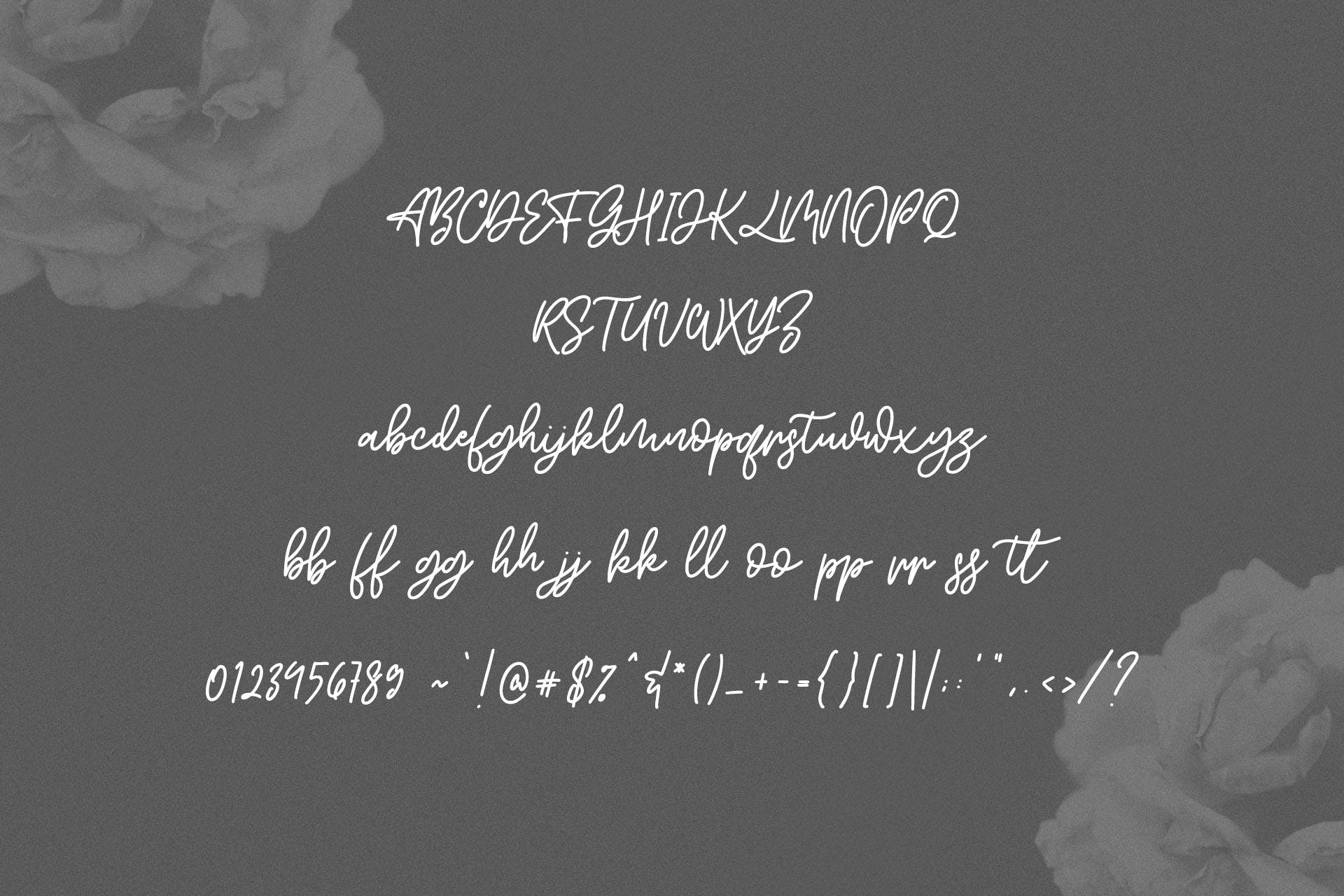 英文手写字体&印刷版式设计衬线字体二重奏组合字体 Willys Script Serif Font插图(7)