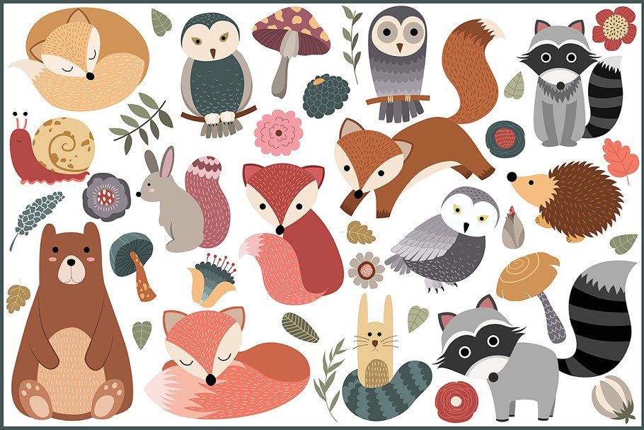 45款林地动植物手绘图案设计元素 45 Woodland Designs & Patterns插图(2)
