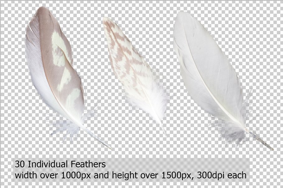 5K高清分辨率羽毛叠层背景 5K Feathers Overlays插图(1)