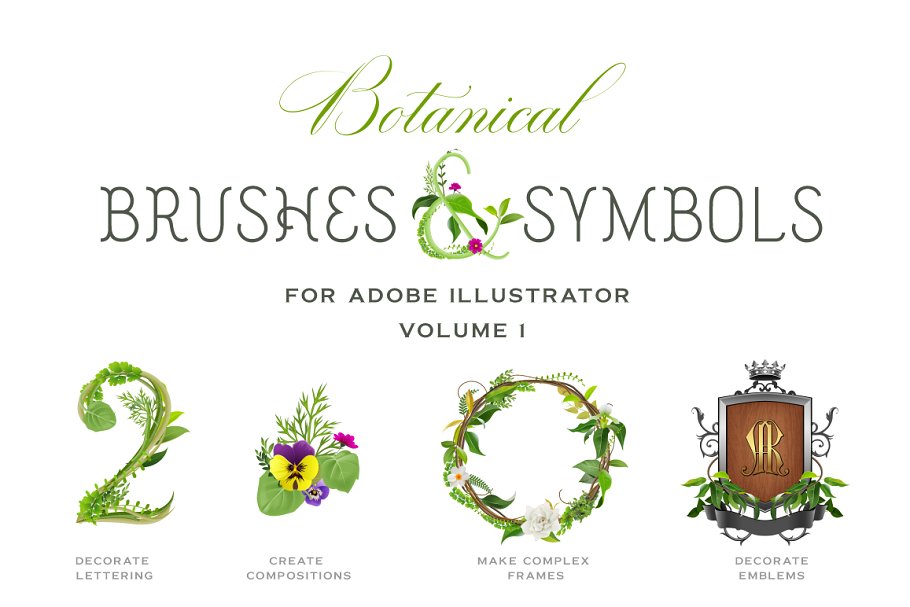 植物图案AI笔刷与符号 Botanical Brushes & Symbols插图