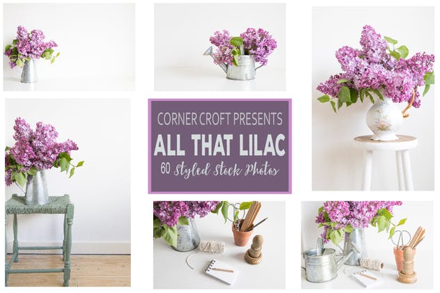 紫丁香花装饰场景背景照片 Lilac Styled Stock Photo Bundle插图(1)