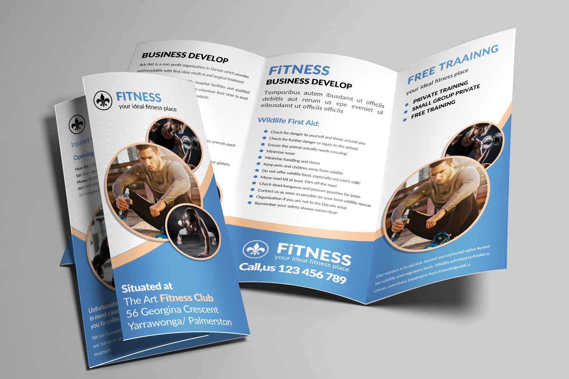 健身健美机构宣传小册子模板合集 Fitness Trifold Brochures Bundle插图(2)