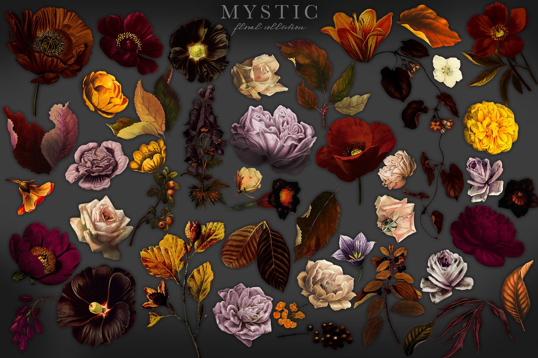 神秘花卉剪贴画艺术收藏 Mystic Floral Collection Clip Art插图(3)