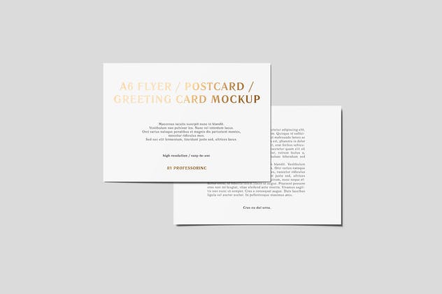A6传单/明信片/贺卡铝箔冲压特殊工艺样机 A6 Flyer / Postcard / Greeting Card Mockup插图(2)