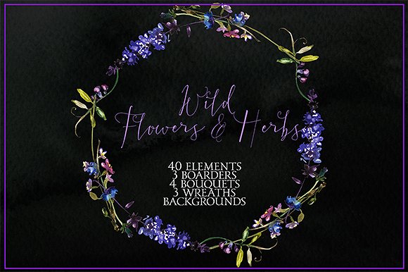 野花草本水彩套装 Wild Flowers & Herbs Watercolor Set插图(6)